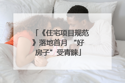 《住宅项目规范》落地首月 “好房子”受青睐