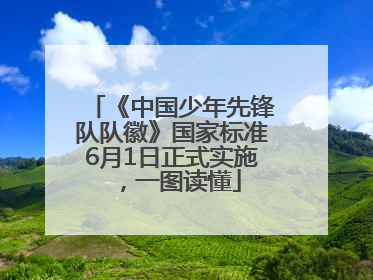 《中国少年先锋队队徽》国家标准6月1日正式实施，一图读懂