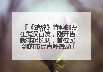 《楚辞》特种邮票在武汉首发，刚开售就排起长队，首位买到的市民直呼激动