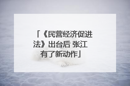 《民营经济促进法》出台后 张江有了新动作