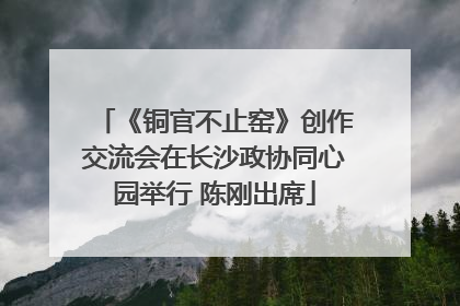 《铜官不止窑》创作交流会在长沙政协同心园举行 陈刚出席