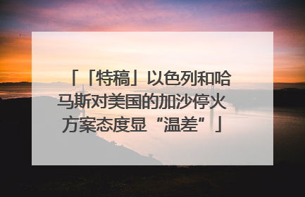 「特稿」以色列和哈马斯对美国的加沙停火方案态度显“温差”