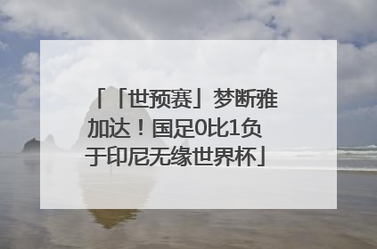 「世预赛」梦断雅加达！国足0比1负于印尼无缘世界杯