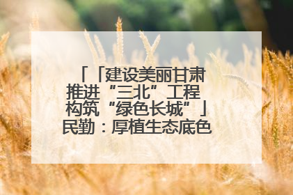 「建设美丽甘肃 推进“三北”工程 构筑“绿色长城”」民勤：厚植生态底色 筑牢绿色屏障