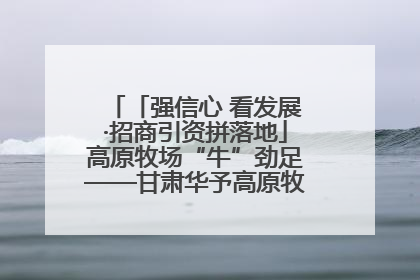 「强信心 看发展·招商引资拼落地」高原牧场“牛”劲足——甘肃华予高原牧场高标准奶牛肉牛养殖项目一线见闻
