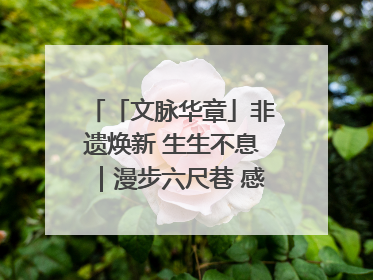 「文脉华章」非遗焕新 生生不息｜漫步六尺巷 感受礼让文化浸润的“巷”往生活