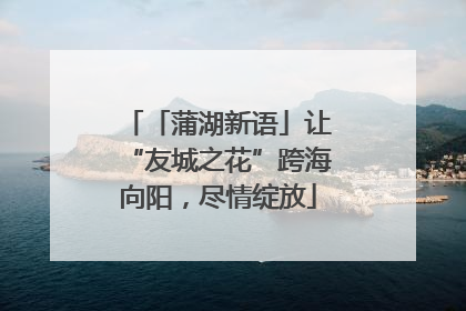 「蒲湖新语」让“友城之花”跨海向阳，尽情绽放