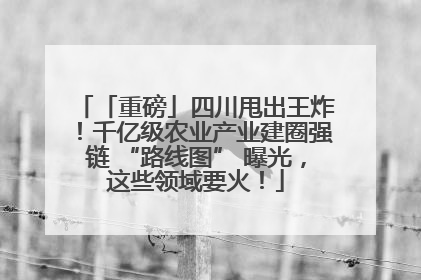 「重磅」四川甩出王炸！千亿级农业产业建圈强链 “路线图” 曝光，这些领域要火！