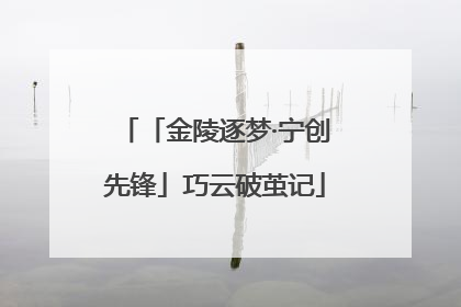 「金陵逐梦·宁创先锋」巧云破茧记