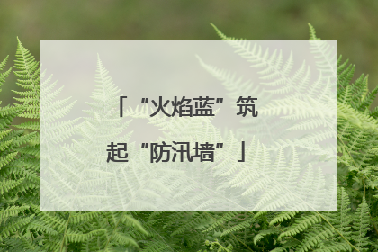 “火焰蓝”筑起“防汛墙”
