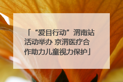 “爱目行动”渭南站活动举办 京渭医疗合作助力儿童视力保护