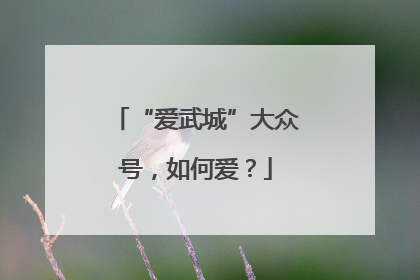 “爱武城”大众号，如何爱？