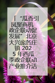“瓜香引凤聚商机 政企联动促发展”北京大兴庞各庄镇 2025 年西瓜季政企联动产业推介活动圆满举行