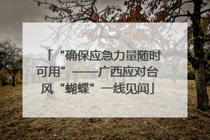 “确保应急力量随时可用”——广西应对台风“蝴蝶”一线见闻