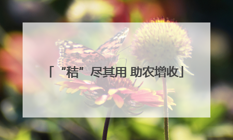 “秸”尽其用 助农增收