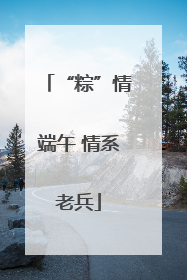 “粽”情端午 情系老兵