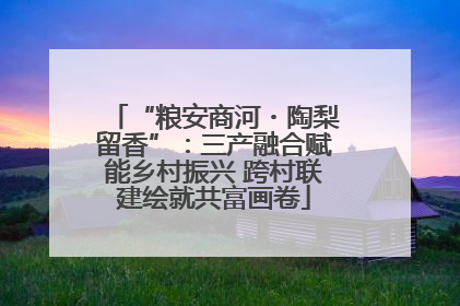 “粮安商河・陶梨留香”：三产融合赋能乡村振兴 跨村联建绘就共富画卷