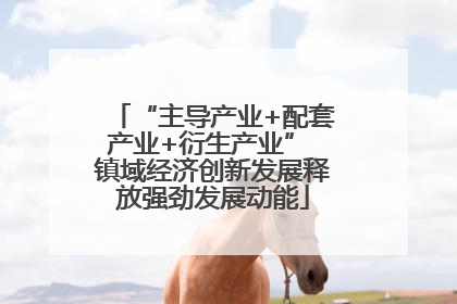 “主导产业+配套产业+衍生产业” 镇域经济创新发展释放强劲发展动能
