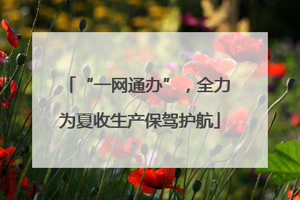 “一网通办”，全力为夏收生产保驾护航