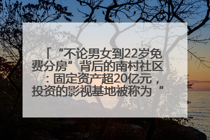 “不论男女到22岁免费分房”背后的南村社区：固定资产超20亿元，投资的影视基地被称为“山村好莱坞”