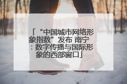 “中国城市网络形象指数”发布 南宁：数字传播与国际形象的西部窗口