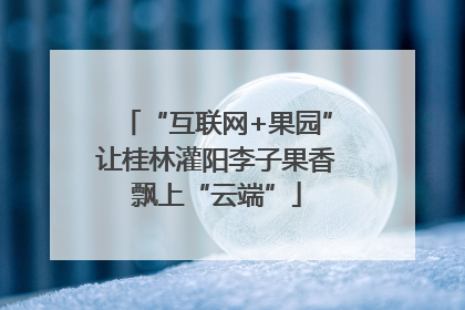 “互联网+果园”让桂林灌阳李子果香飘上“云端”