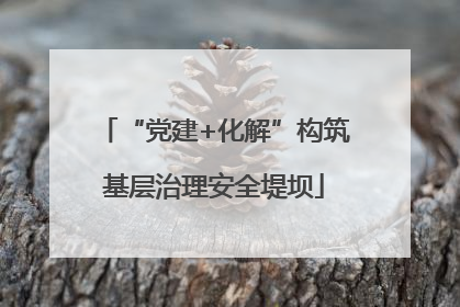 “党建+化解”构筑基层治理安全堤坝