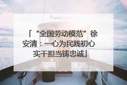 “全国劳动模范”徐安清：一心为民践初心 实干担当铸忠诚