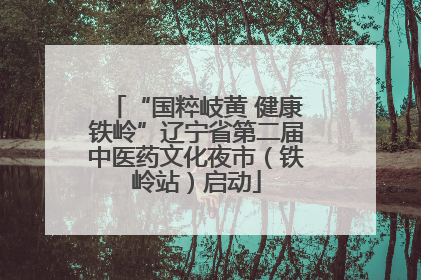 “国粹岐黄 健康铁岭”辽宁省第二届中医药文化夜市（铁岭站）启动