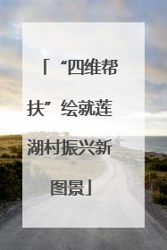 “四维帮扶”绘就莲湖村振兴新图景