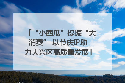 “小西瓜”提振“大消费” 以节庆IP助力大兴区高质量发展