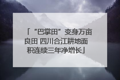 “巴掌田”变身万亩良田 四川合江耕地面积连续三年净增长
