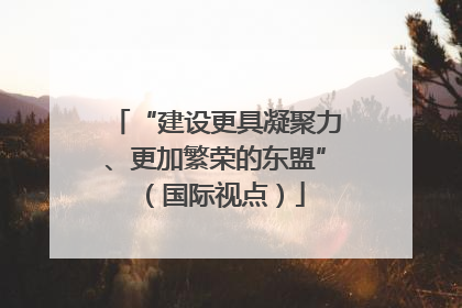 “建设更具凝聚力、更加繁荣的东盟”（国际视点）