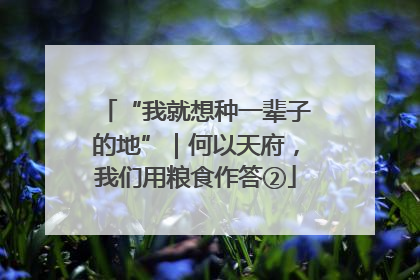 “我就想种一辈子的地”｜何以天府，我们用粮食作答②