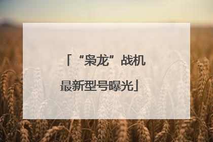 “枭龙”战机最新型号曝光