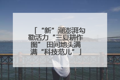 “新”潮澎湃勾勒活力“三夏耕作图” 田间地头满满“科技范儿”