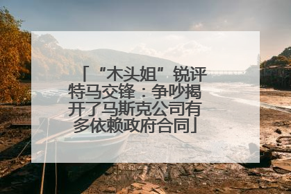 “木头姐”锐评特马交锋：争吵揭开了马斯克公司有多依赖政府合同