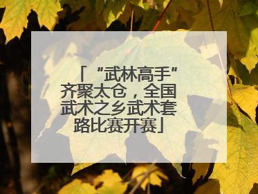 “武林高手”齐聚太仓，全国武术之乡武术套路比赛开赛