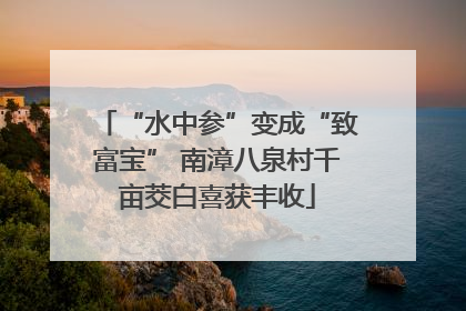“水中参”变成“致富宝” 南漳八泉村千亩茭白喜获丰收