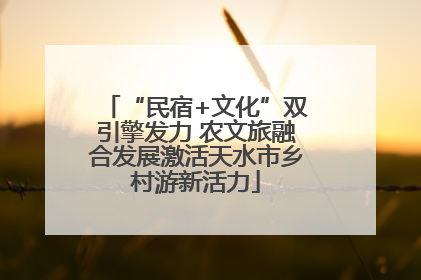 “民宿+文化”双引擎发力 农文旅融合发展激活天水市乡村游新活力