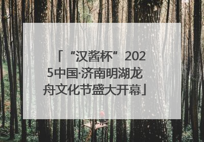 “汉酱杯”2025中国·济南明湖龙舟文化节盛大开幕