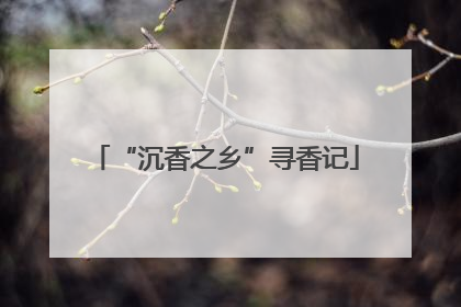 “沉香之乡”寻香记