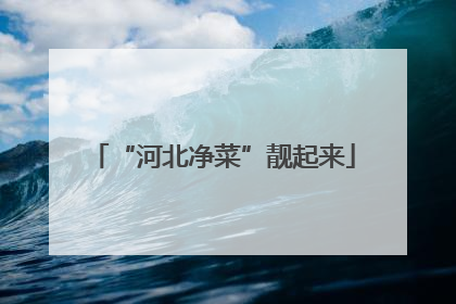 “河北净菜”靓起来