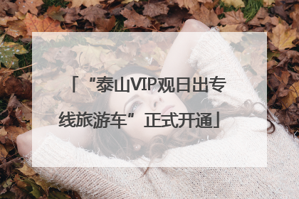 “泰山VIP观日出专线旅游车”正式开通