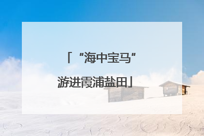 “海中宝马”游进霞浦盐田