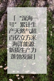 “深海一号”累计生产天然气超百亿立方米 海洋能源新质生产力蓬勃发展