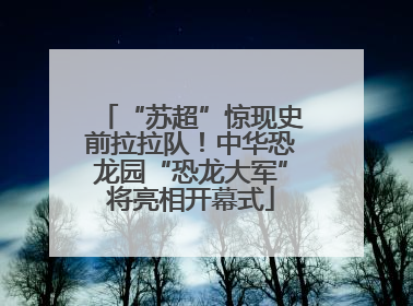“苏超”惊现史前拉拉队！中华恐龙园“恐龙大军”将亮相开幕式