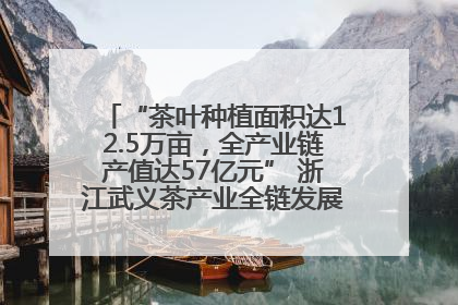 “茶叶种植面积达12.5万亩，全产业链产值达57亿元” 浙江武义茶产业全链发展“加速度”