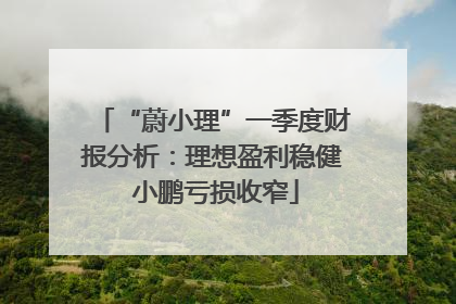 “蔚小理”一季度财报分析：理想盈利稳健 小鹏亏损收窄