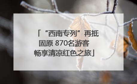 “西南专列”再抵固原 870名游客畅享清凉红色之旅